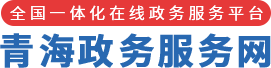 青海政务服务网
